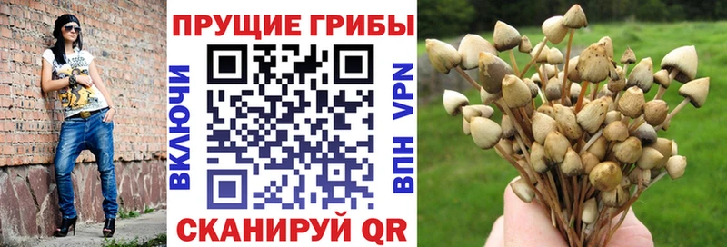 кракен как зайти  Георгиевск  Галлюциногенные грибы GOLDEN TEACHER  как найти закладки 